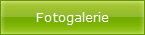 Fotogalerie