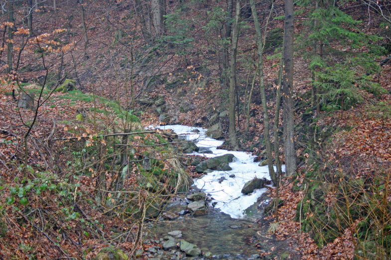 IMG_0124_bearbeitet-1